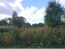 20220903 ������-300 ������������ ������������ 143542.jpg