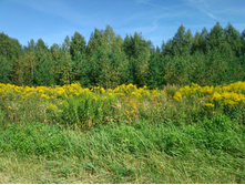 20220820 ������-200 ������� ���������� 114620.jpg