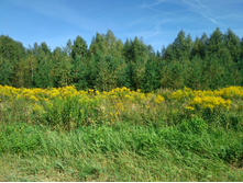 20220820 ������-200 ������� ���������� 114619.jpg