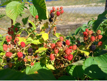 20220821 ����� ����� 134124.jpg