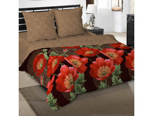 �������� ������ 220 �� ������+���������