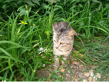 20220827 ��������� � ������� ����� 153654.jpg