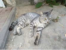 20220827 ��������� � ������� ����� 152341.jpg