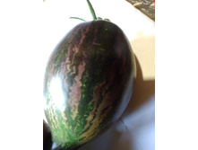 IMG����� 1.jpg