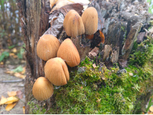 20221015 �����BikeTrip 131038.jpg