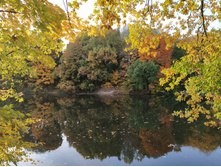 IMG 20200927 162757.jpg