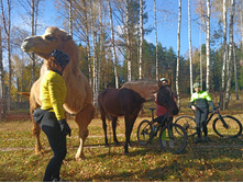 20221015 �����BikeTrip 113218.jpg