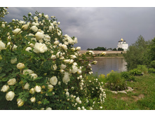 IMG 20220612 193431.jpg