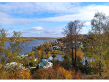 IMG 20221008 122939.jpg