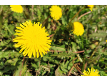 IMG 20220502 114002.jpg