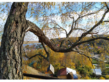 IMG 20221008 122410.jpg