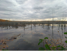 20221015 �����BikeTrip 131006.jpg