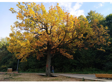 IMG 20220925 150454.jpg