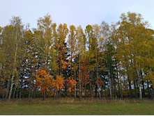 20221008 ������� ��� 103813.jpg