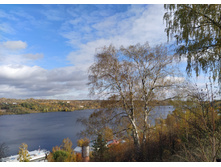 IMG 20221008 122744.jpg