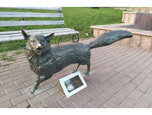 IMG 20220501 191047.jpg