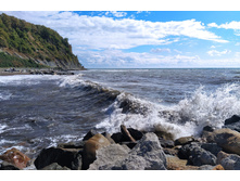 IMG 20220914 134556.jpg