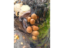 20221015 �����BikeTrip 131018.jpg