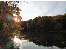 IMG 20200927 162552.jpg