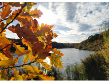 IMG 20221002 150223.jpg