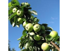 ������ ��������� ������ �3.jpg