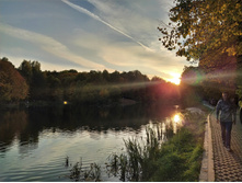 IMG 20200927 170201.jpg