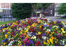 IMG 20220620 225225.jpg