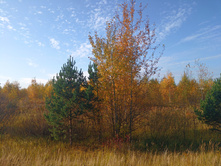 20221016 ������� 100220.jpg