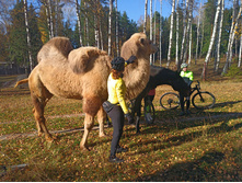 20221015 �����BikeTrip 113159.jpg