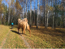 20221015 �����BikeTrip 113726.jpg