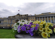 IMG 20220615 161851.jpg