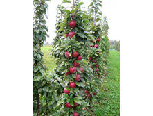 ������ ���������� �������� ������������ ������� �3.jpg