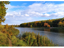 IMG 20221002 151819.jpg