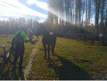 20221015 �����BikeTrip 112728.jpg