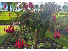 IMG 20220619 163141.jpg