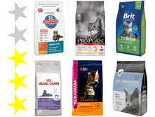 ���� �������. ������ ����� ��������� �������������� ��� ����� � ����� .� 1