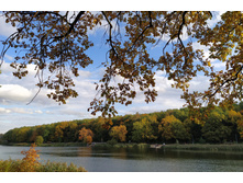 IMG 20221002 152416.jpg