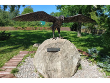 IMG 20220622 143458.jpg