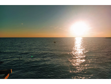 IMG 20220908 181106.jpg