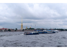 IMG 20220615 150409.jpg