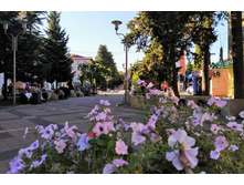 IMG 20220908 155554.jpg