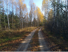 20221022 �� ����� ����� �� ������� 111809.jpg