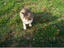 20221016 ������� 130709.jpg