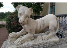 IMG 20220617 142146.jpg