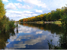 IMG 20221002 153950.jpg