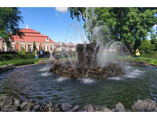 IMG 20220619 155717.jpg