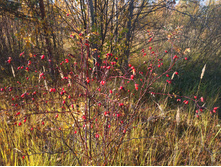 20221016 ������� 100256.jpg