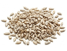 ������� ��������� �������������