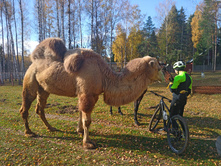 20221015 �����BikeTrip 112745.jpg