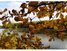 IMG 20221002 151913.jpg